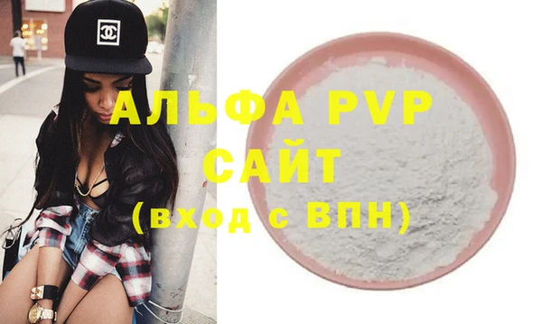 стаф Белокуриха