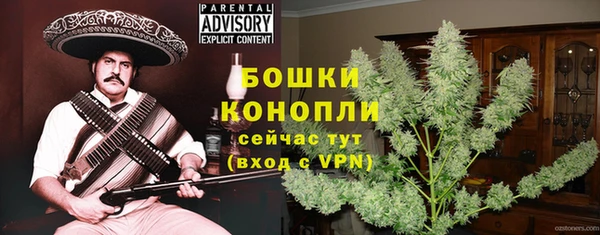 стаф Белокуриха