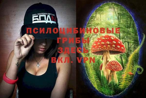 ALPHA-PVP Беломорск