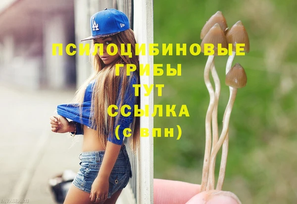 стаф Белокуриха